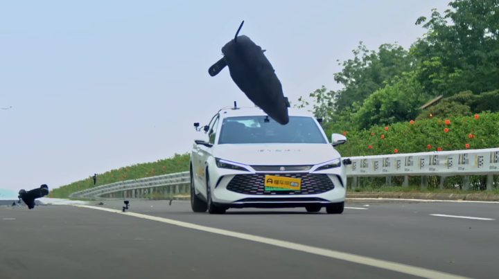 ADAS super test China - pig
