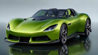 2026 Fang Cheng Bao Formula X