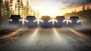 2029 Ford Fiesta Kuga Bronco Puma teaser