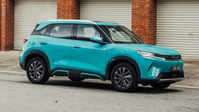 2026 BYD Atto 2 DM-i - green