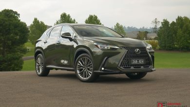 2026 Lexus NX 350h Sports Luxury - Khaki Metal green