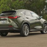 2026 Lexus NX 350h Sports Luxury - rear