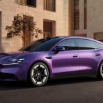 2026 MG 07 - purple