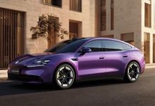2026 MG 07 - purple