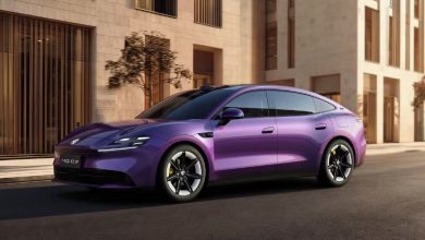 2026 MG 07 - purple